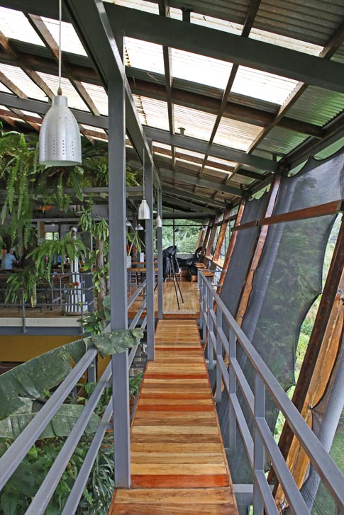 Celeste Mountain Lodge