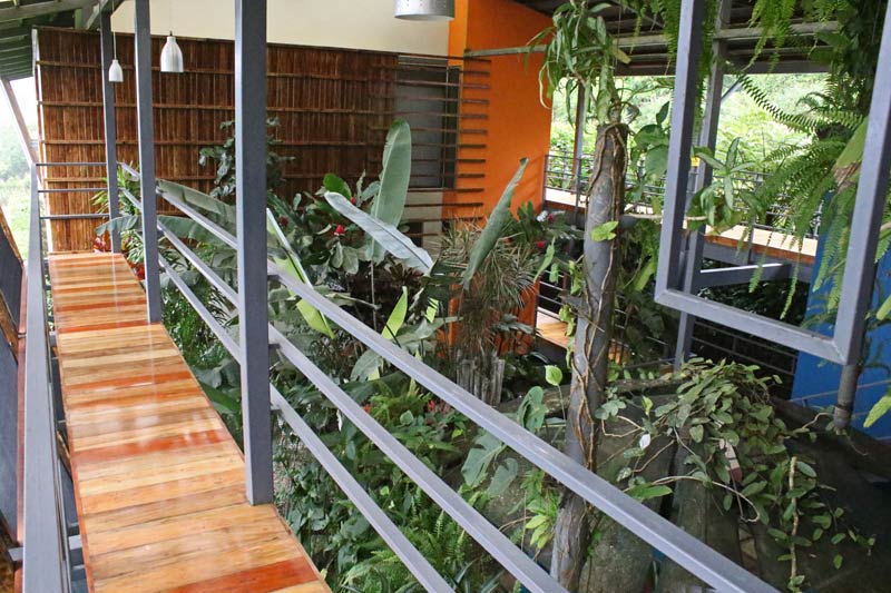 Celeste Mountain Lodge