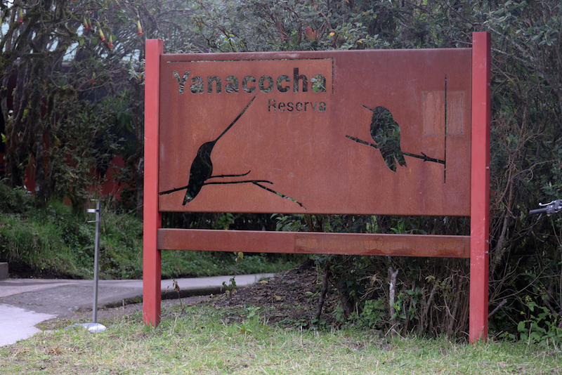 Yanacocha Reserve was an incredible first stop