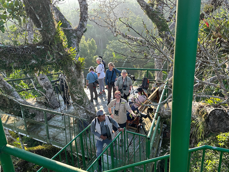 The canopy tower at Napo Cultural Center