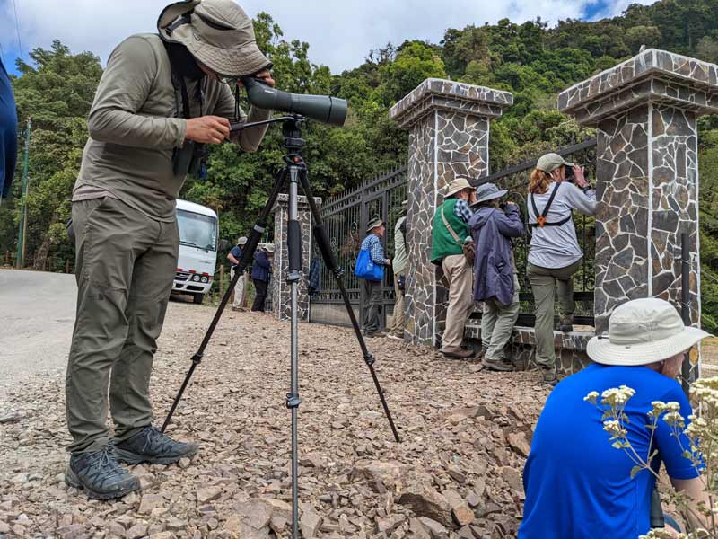 Scoping out the Resplendent Quetzal nest from the 