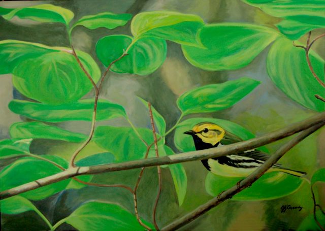 Black-throated Green