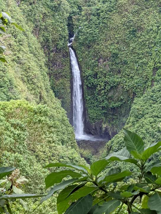 Waterfall near Soda Y Mirador Cinchona