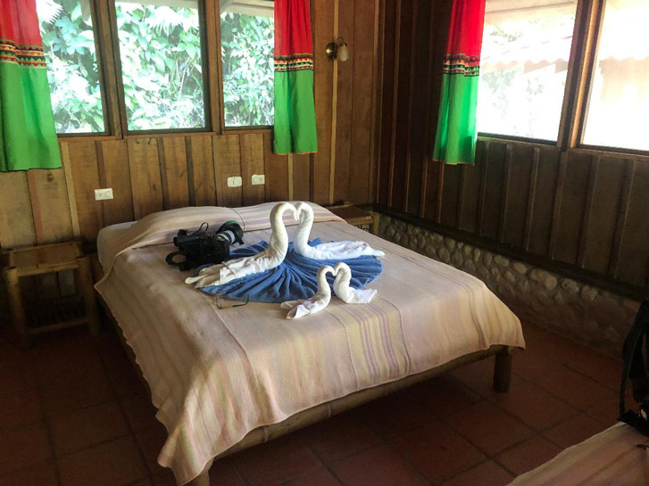 towels had a bird theme